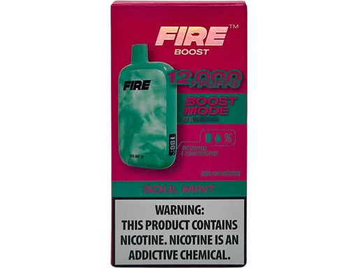 FIRE Boost 12000 Puff 5% Fire XL Disposables Soul Mint / 12000+ / 5% (50mg)