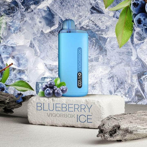 Vigorbox Aladdin 10000+ 5% Vigorbox Disposables Blueberry Ice / 10000+ / 5% (50mg)