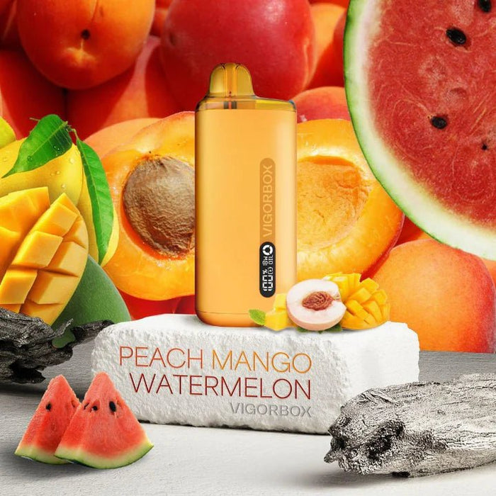 Vigorbox Aladdin 10000+ 5% Vigorbox Disposables Peach Mango Watermelon / 10000+ / 5% (50mg)