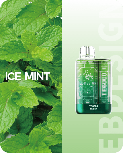 TE6000 by EBDesign Elf Bar Disposables Ice Mint / 6000+ / 4% (40mg)
